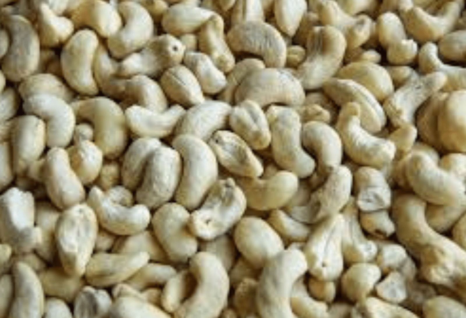 Cashew Nuts