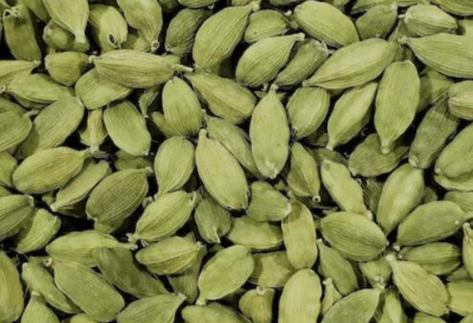 cardamom